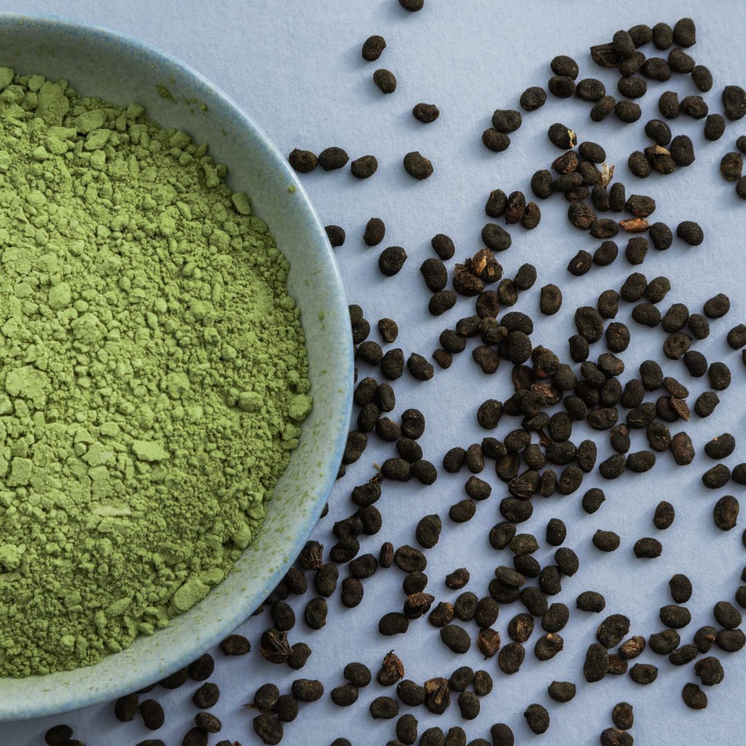 benefits-of-bakuchiol-in-skincare